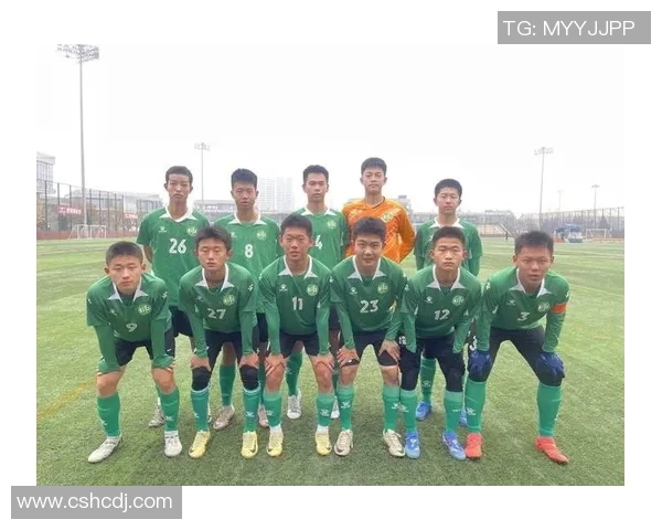 武汉足球队荣登足球节奏排行榜第十名展现强劲实力与潜力